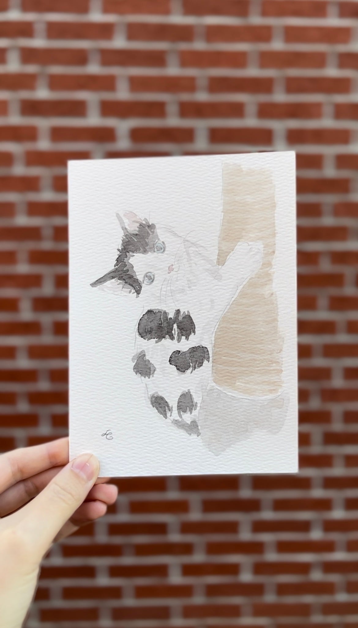 5x7 Pet Portrait