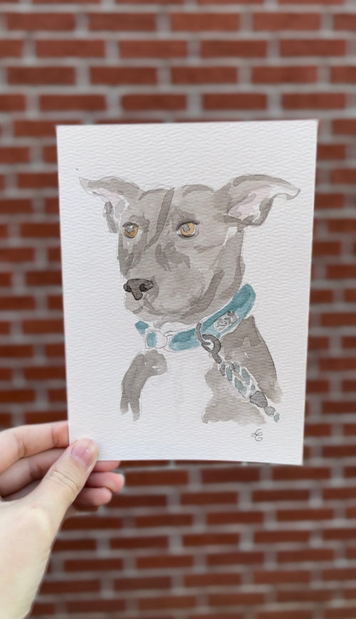 5x7 Pet Portrait